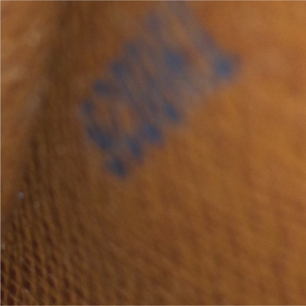 Louis Vuitton Wallet - Picture 6 of 7